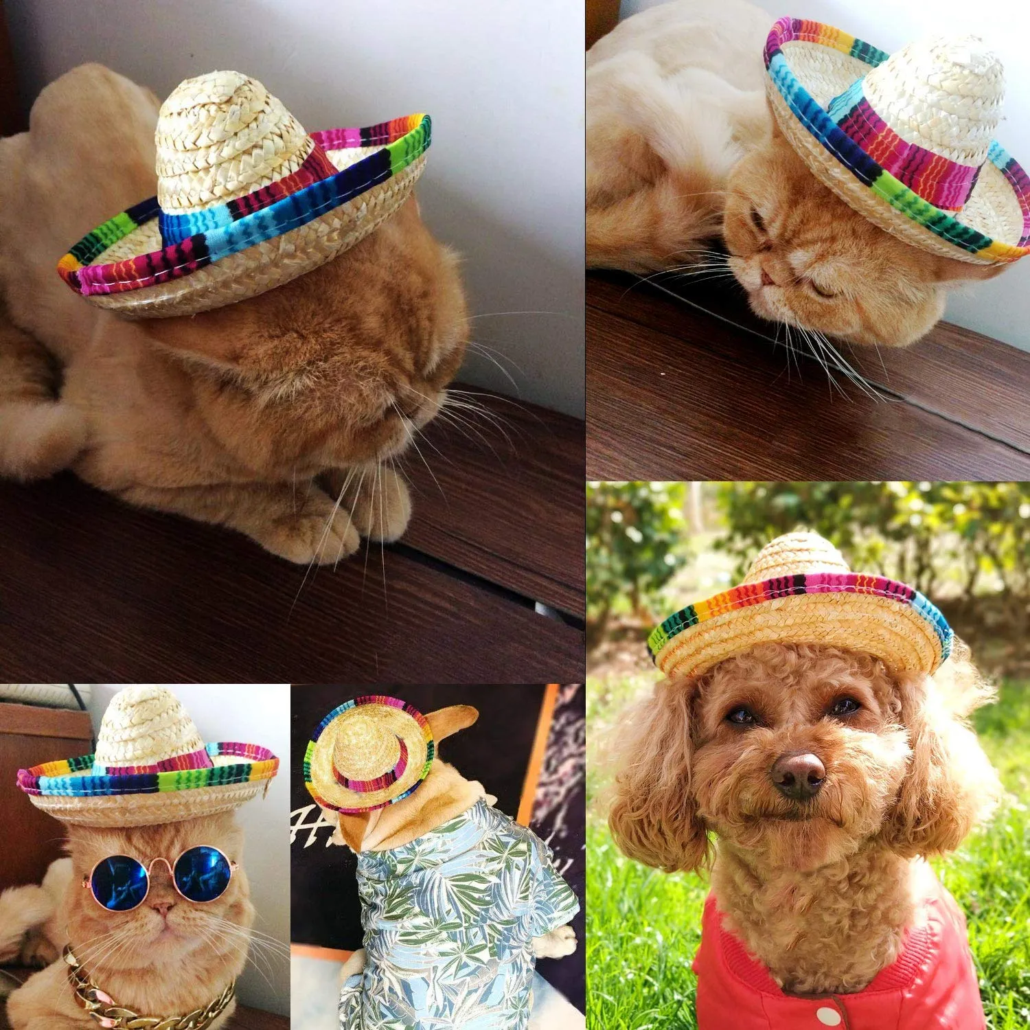 8 Packs Mini Sombrero Party Hats Mexican Hat Party Decorations Party Supplies Costume Hats for Kids Dolls Pets 5.9 Inch