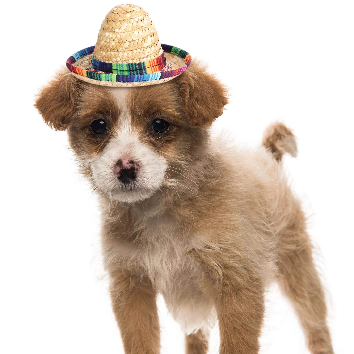 8 Packs Mini Sombrero Party Hats Mexican Hat Party Decorations Party Supplies Costume Hats for Kids Dolls Pets 5.9 Inch