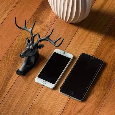Antler Wall Hook
