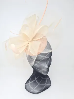Apricot Pillbox Netted Fascinator