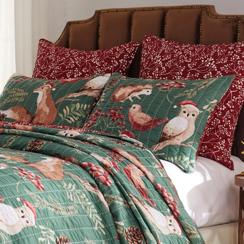 Barefoot Bungalow Willow Luxurious Super Soft Comfortable Pillow Sham Holiday