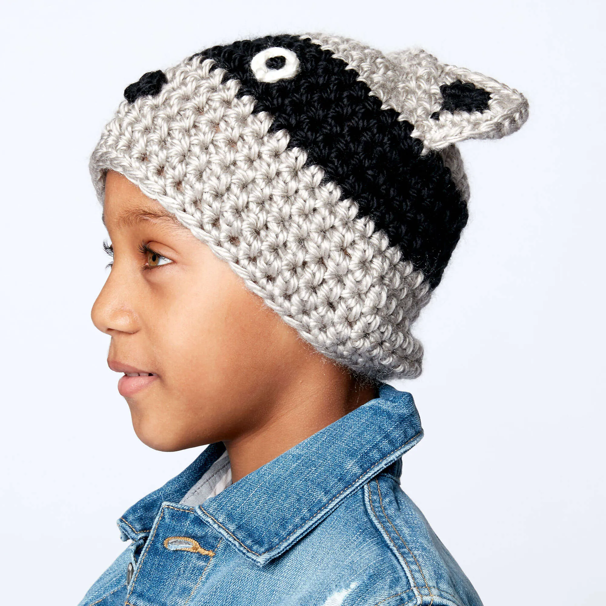 Bernat Crochet Raccoon Hat
