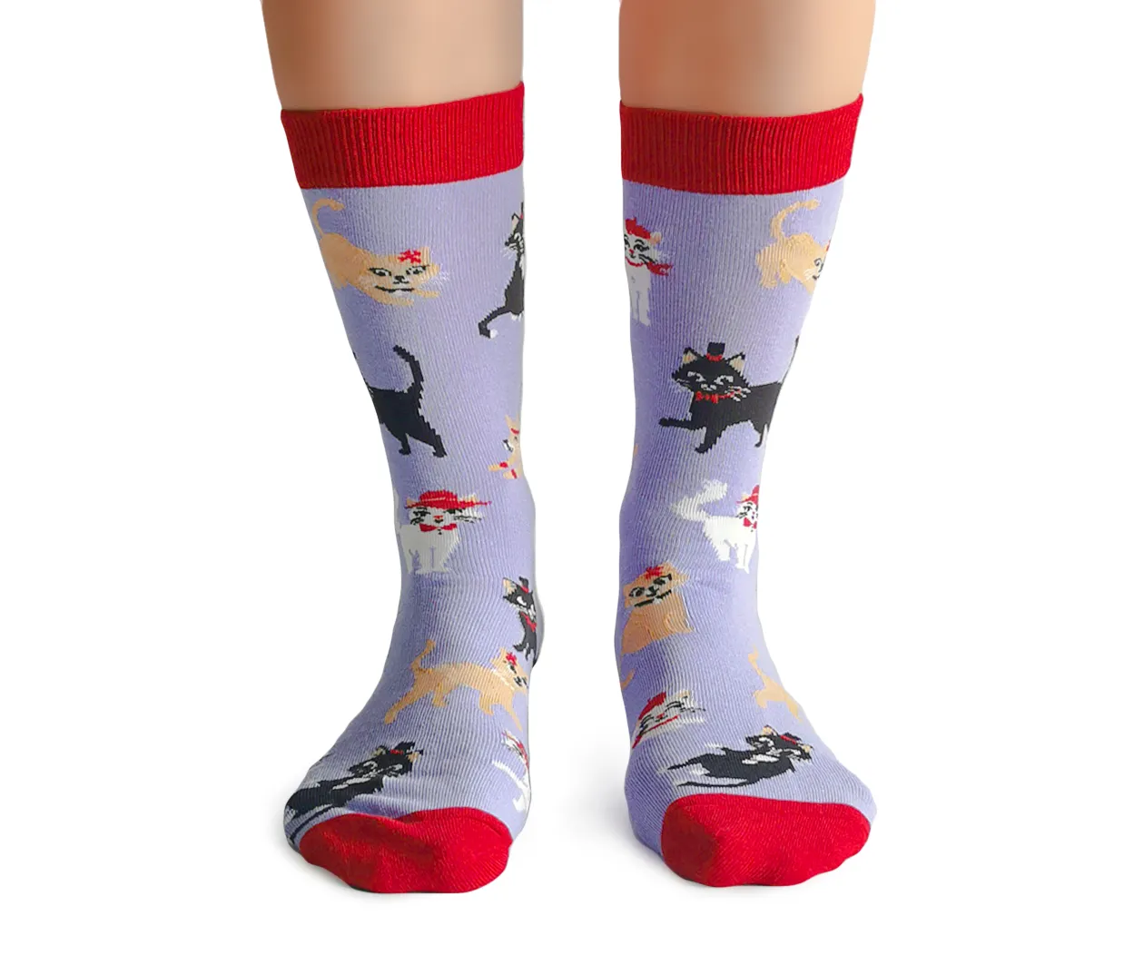 Cats in Hats Socks
