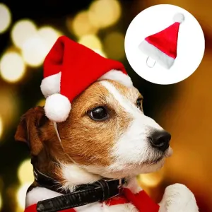Christmas Dog Santa Hat