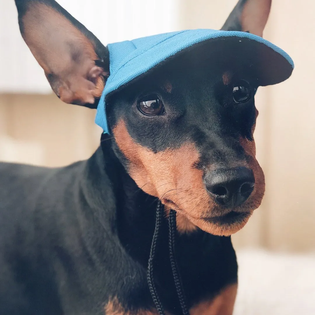 Custom Made Machiko Dog Hats... ADORABLE!