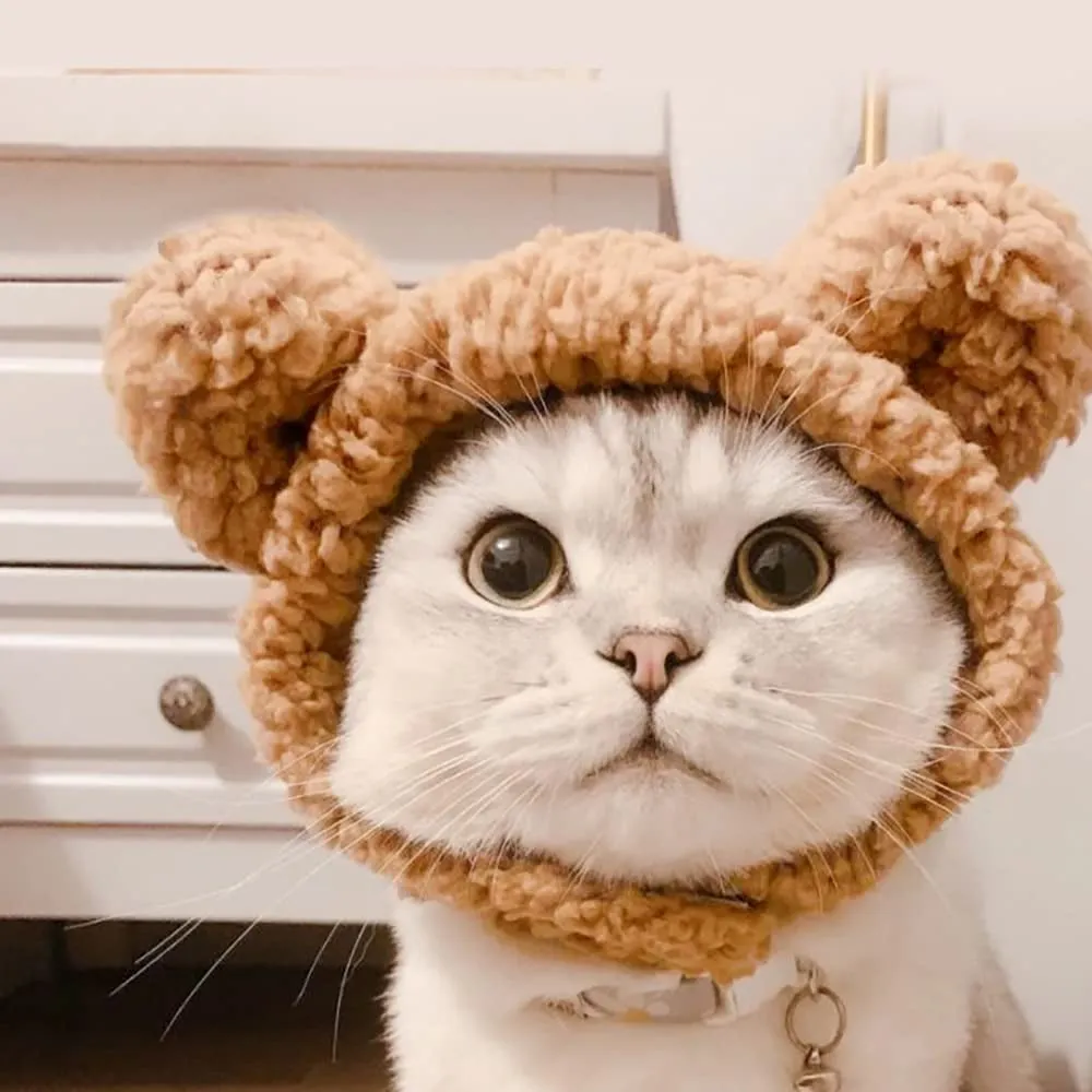 Cute Cat Costume Warm Bear Hat