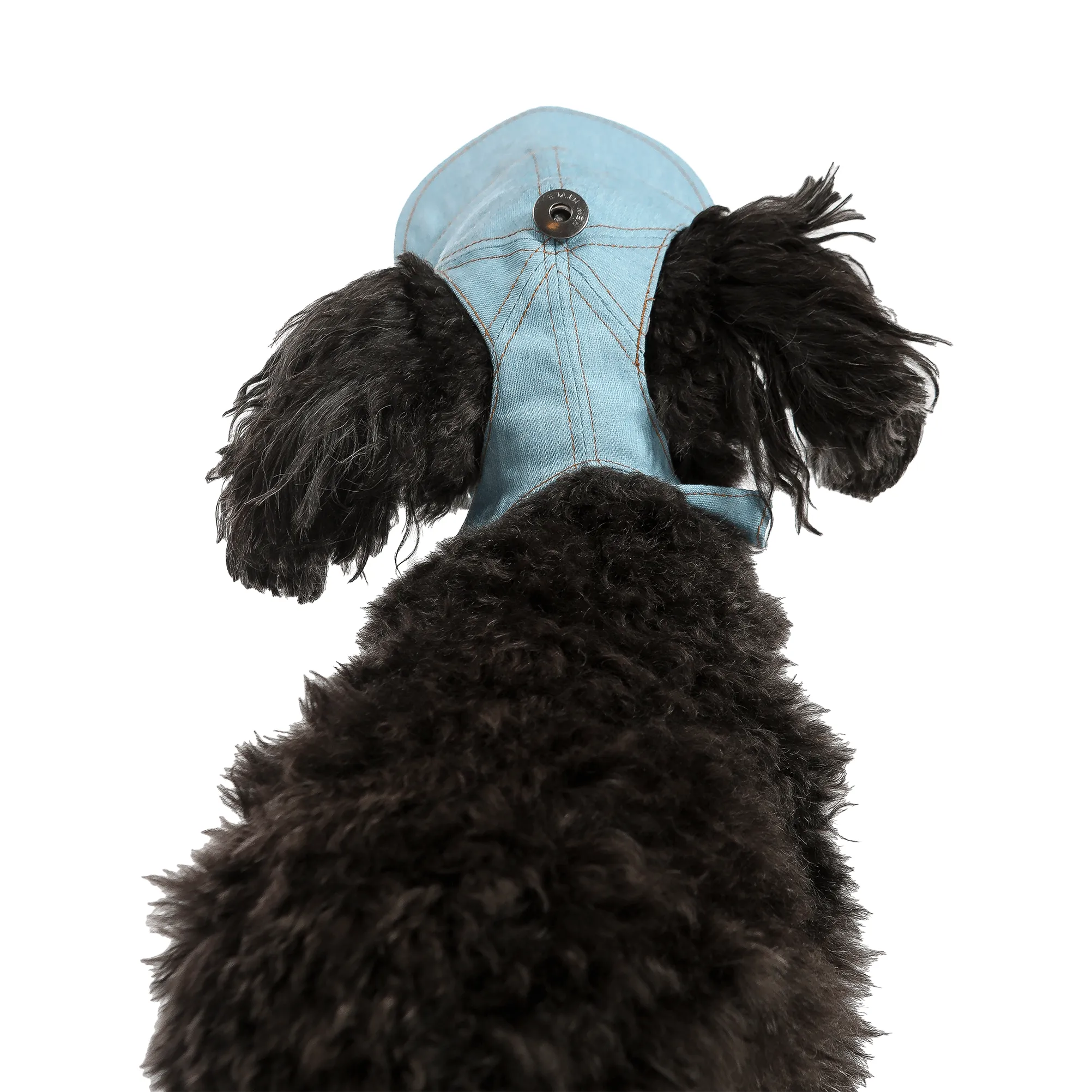 Denim Dog Hat | Cap