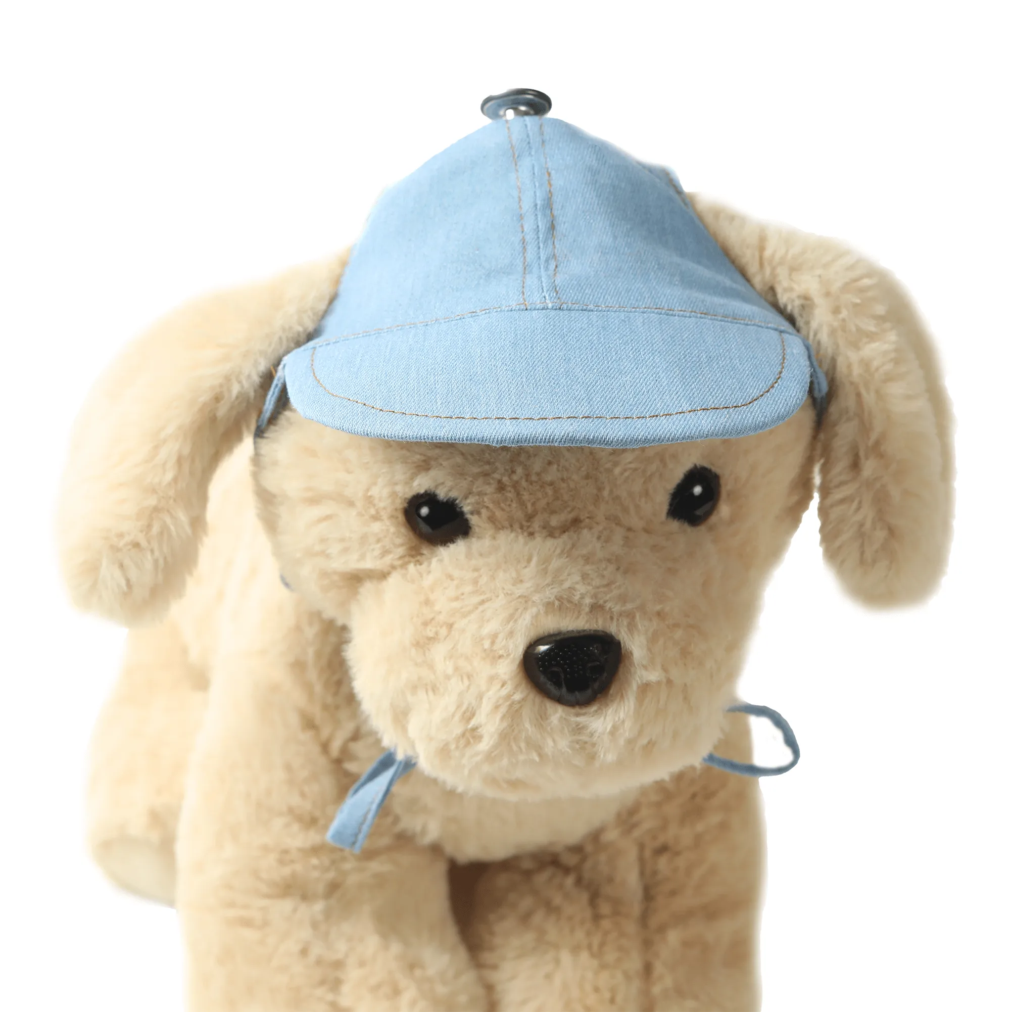 Denim Dog Hat | Cap