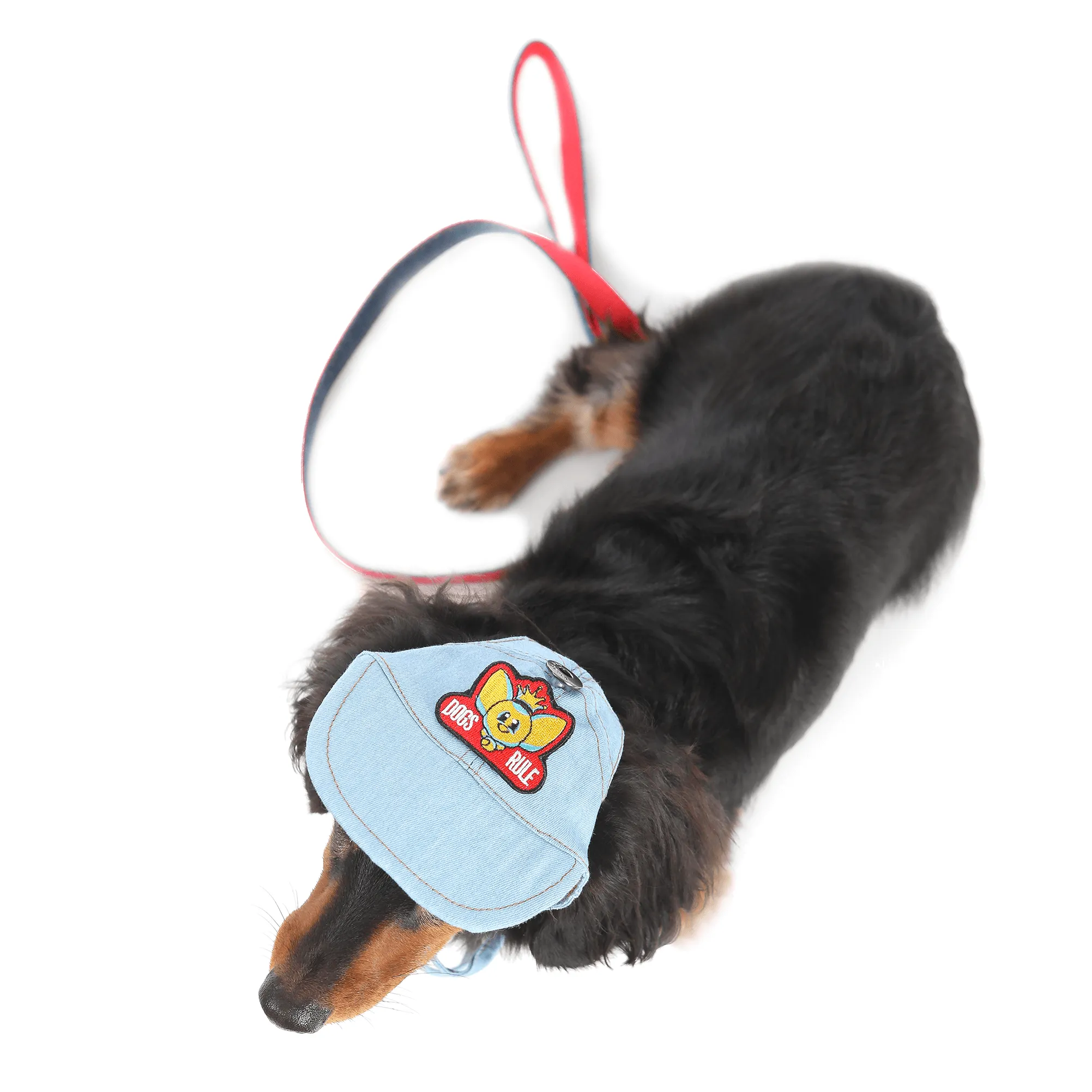 Denim Dog Hat | Cap
