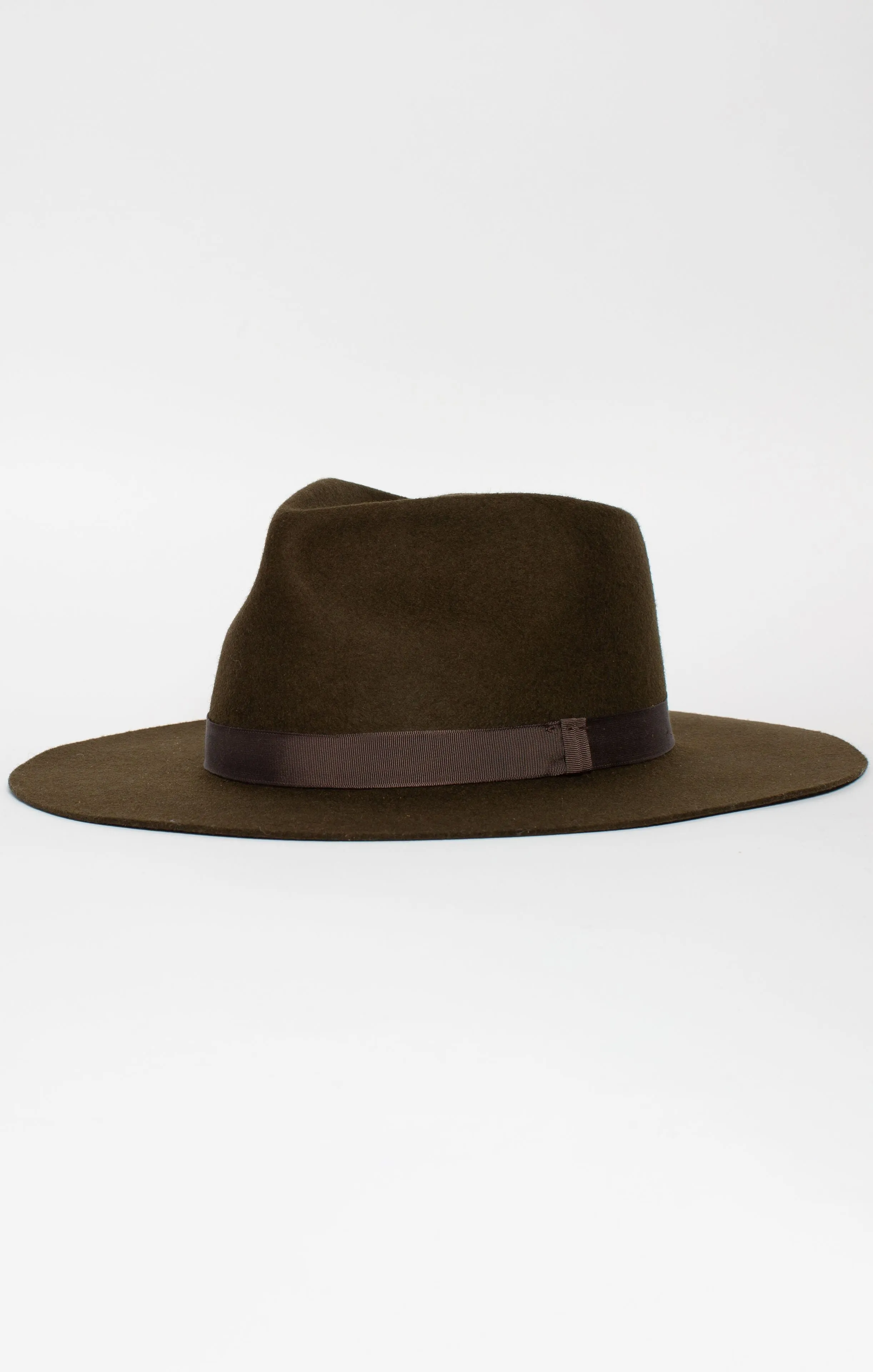 Dr. John A Fedora - Olive