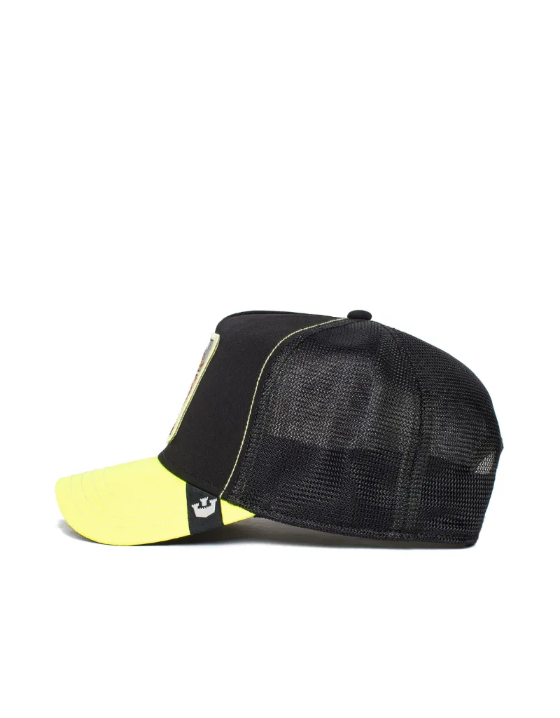 EVERYTHING IS LIGHT BALL CAP