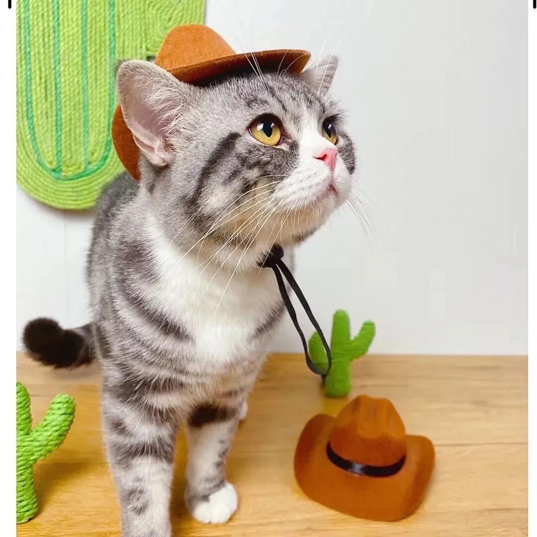 Festive Pet Cosplay Costumes – Christmas Hats, Scarves, and Bat Wings for Cats and Dogs