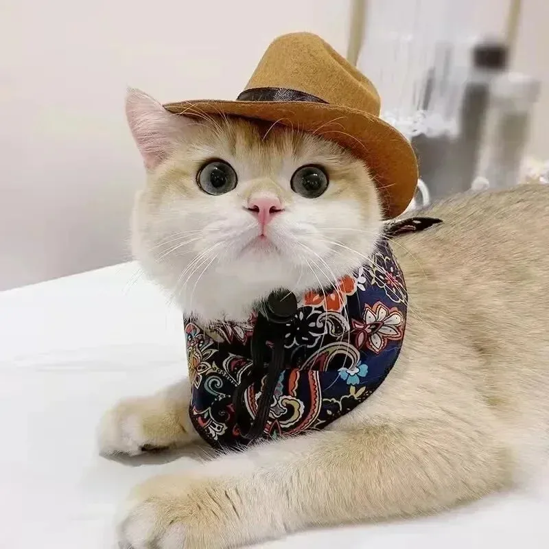 Festive Pet Cosplay Costumes – Christmas Hats, Scarves, and Bat Wings for Cats and Dogs