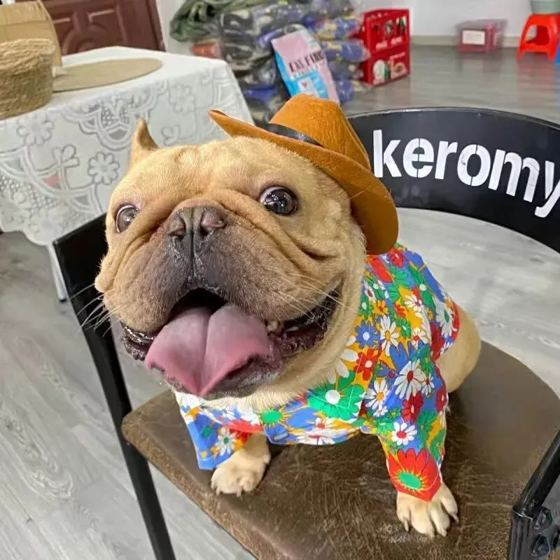 Festive Pet Cosplay Costumes – Christmas Hats, Scarves, and Bat Wings for Cats and Dogs