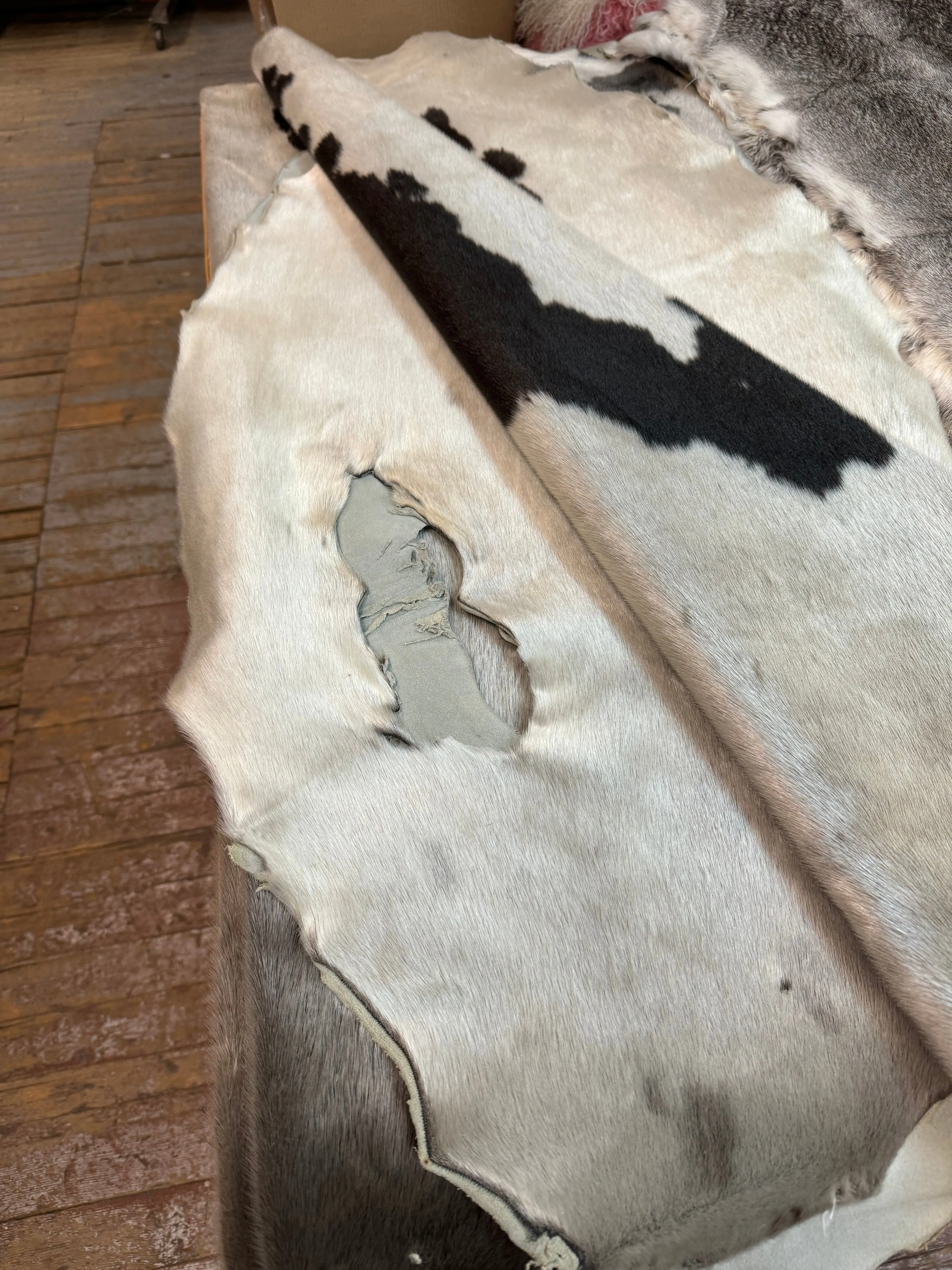 Giant Seal Fur Skins