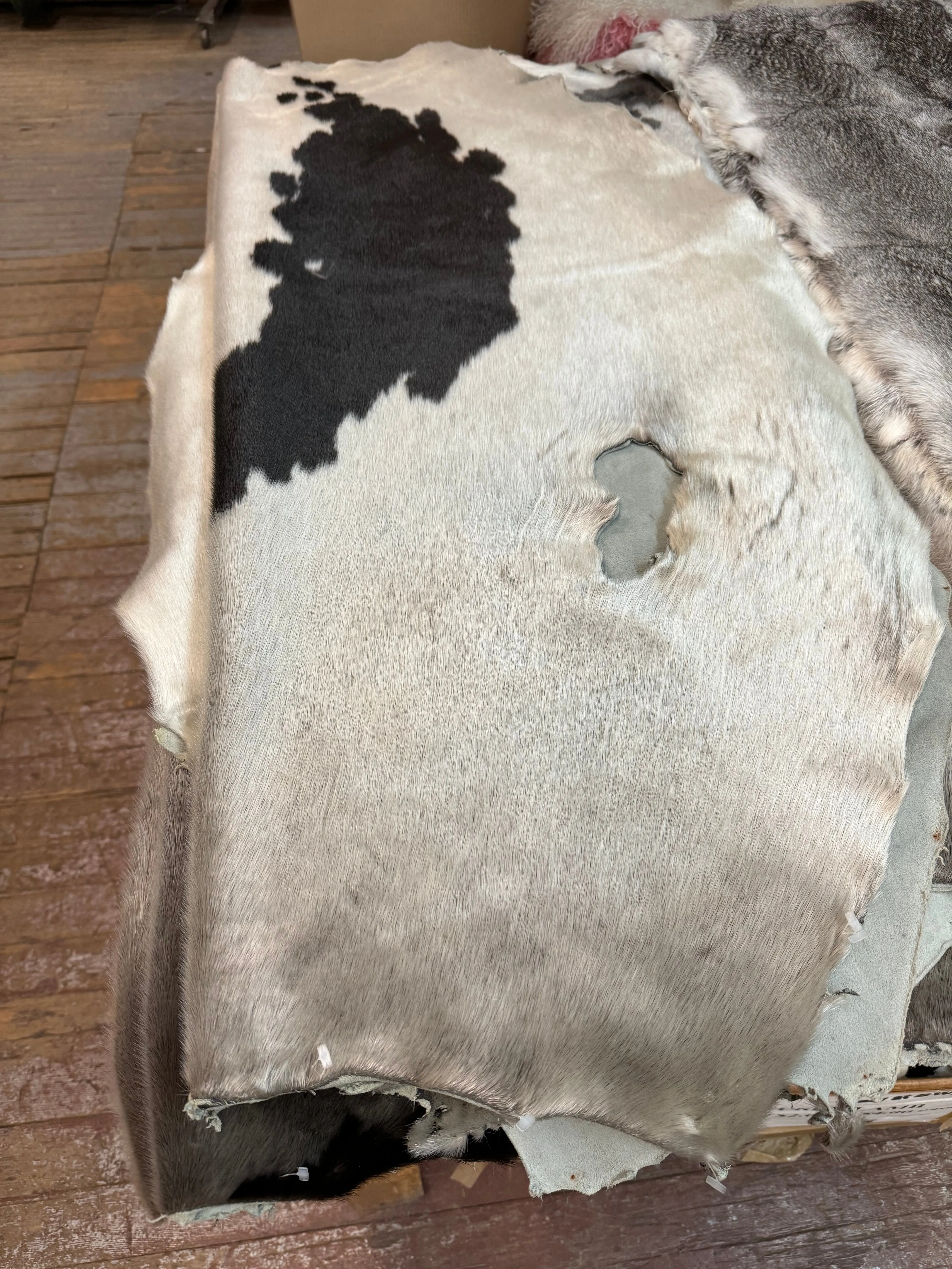 Giant Seal Fur Skins