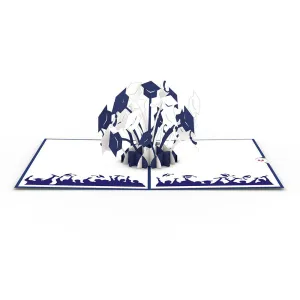 Graduation Hats Blue and White