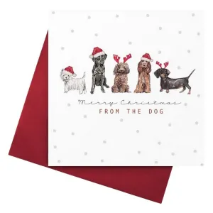 Merry Christmas From The Dog
