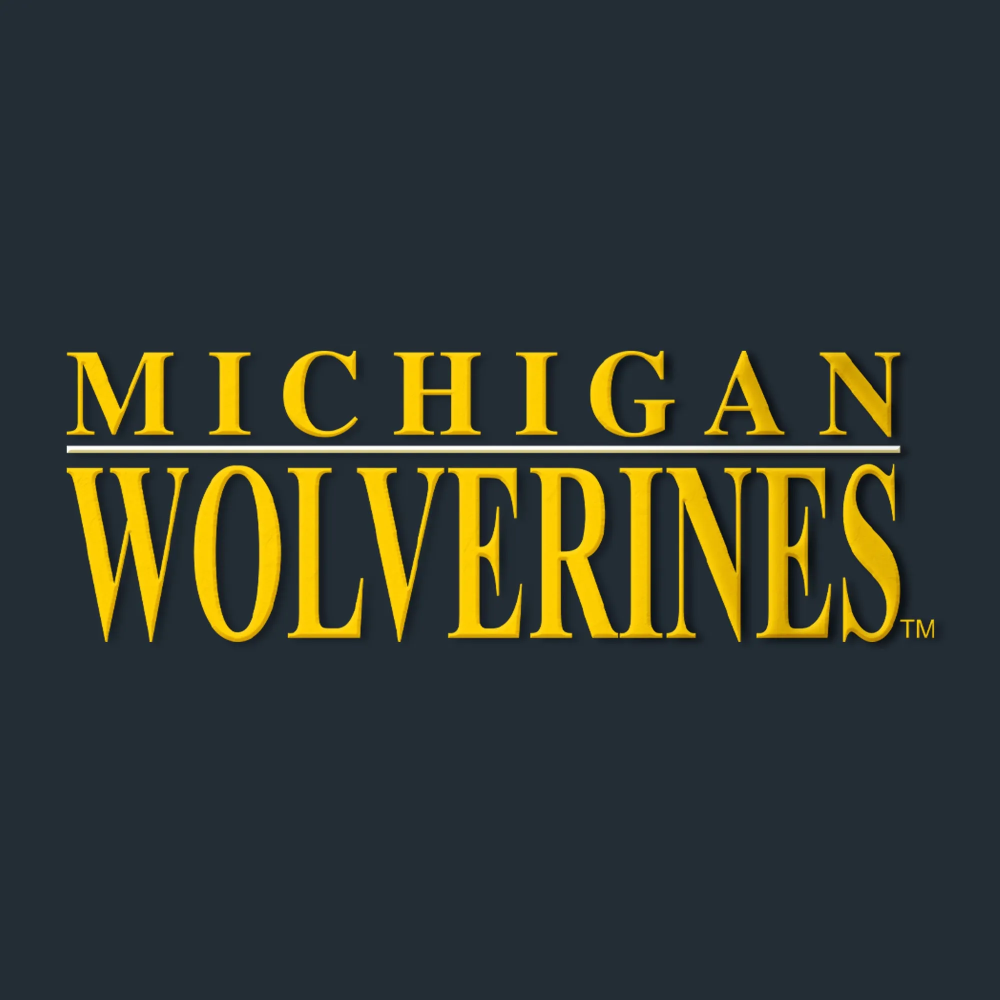 Michigan Headline EMB Snapback 5-Panel Rope Hat