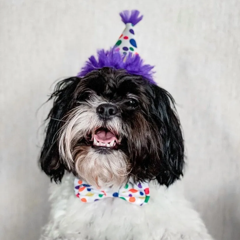 Party Hats with SnugFit®