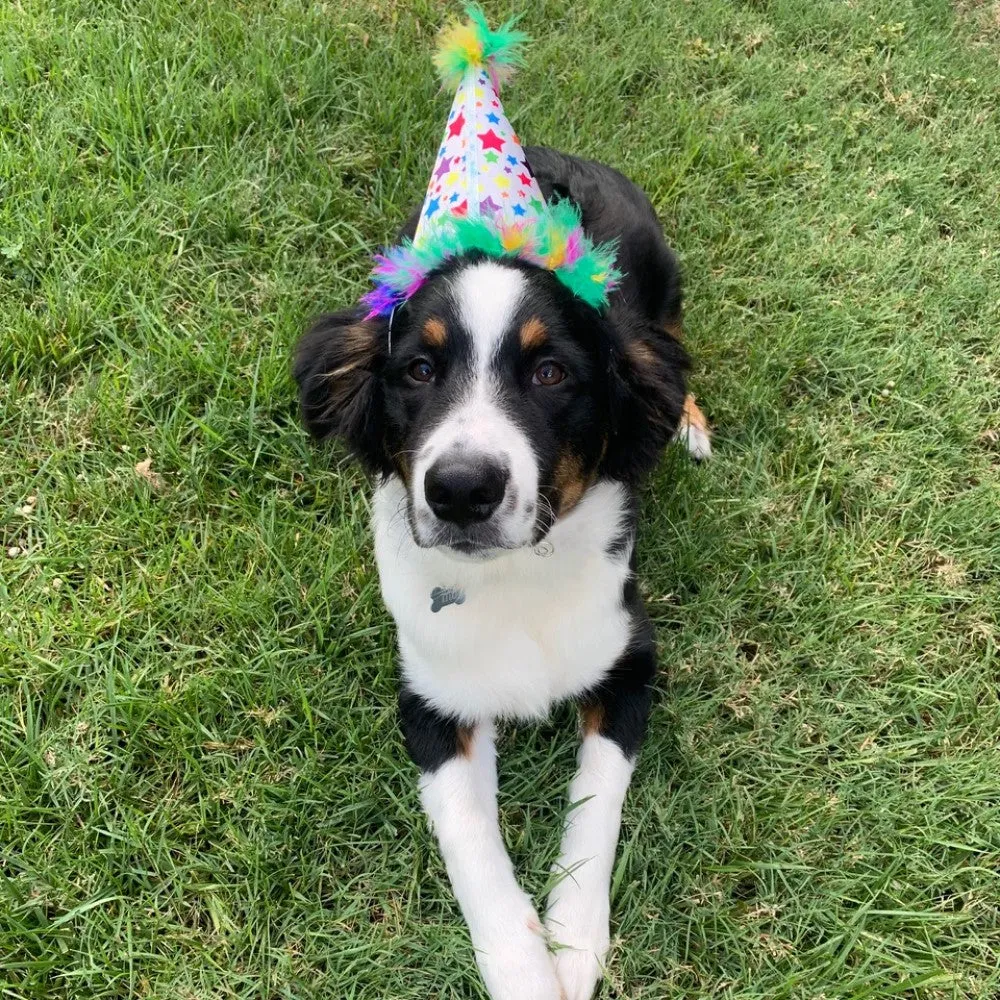 Party Hats with SnugFit®