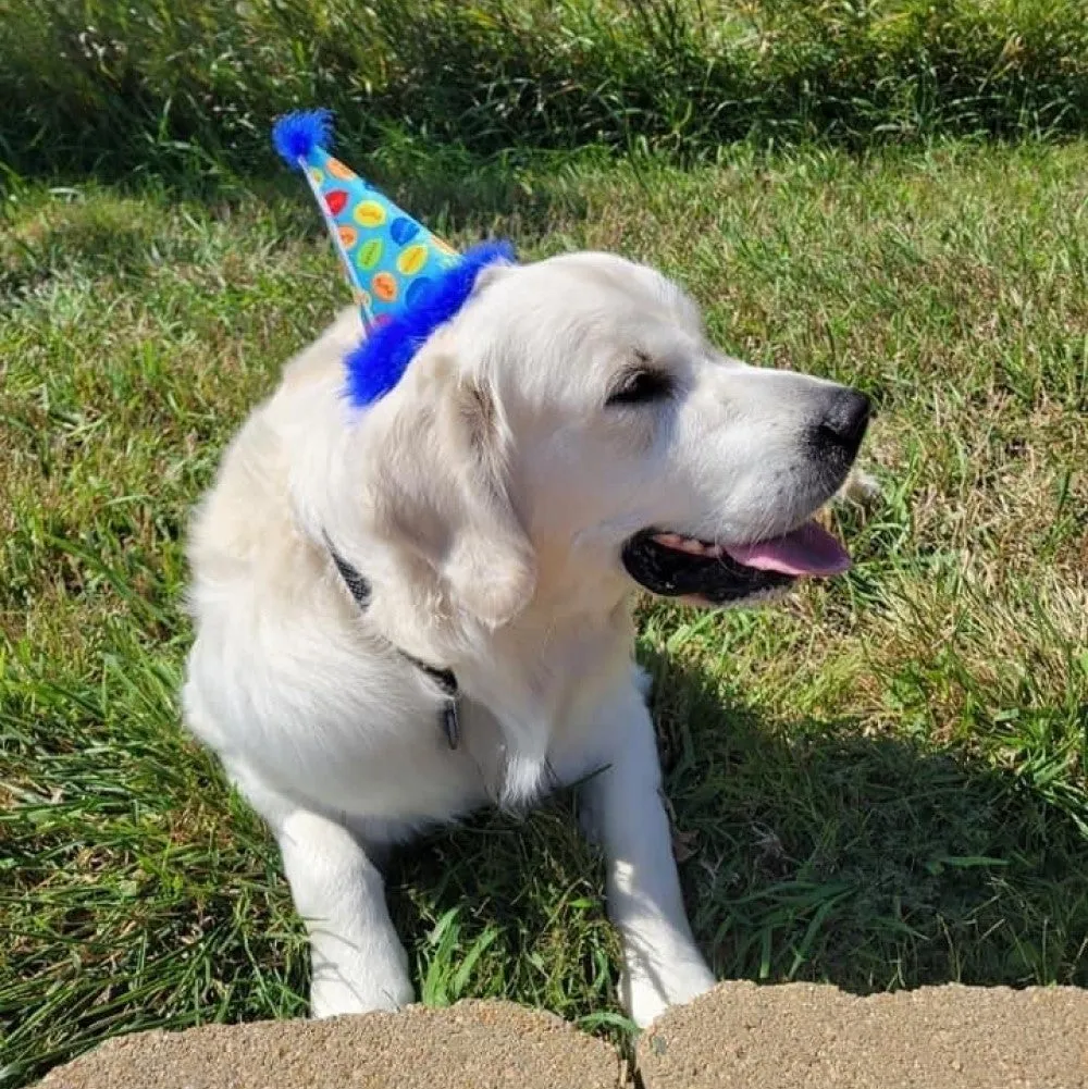 Party Hats with SnugFit®
