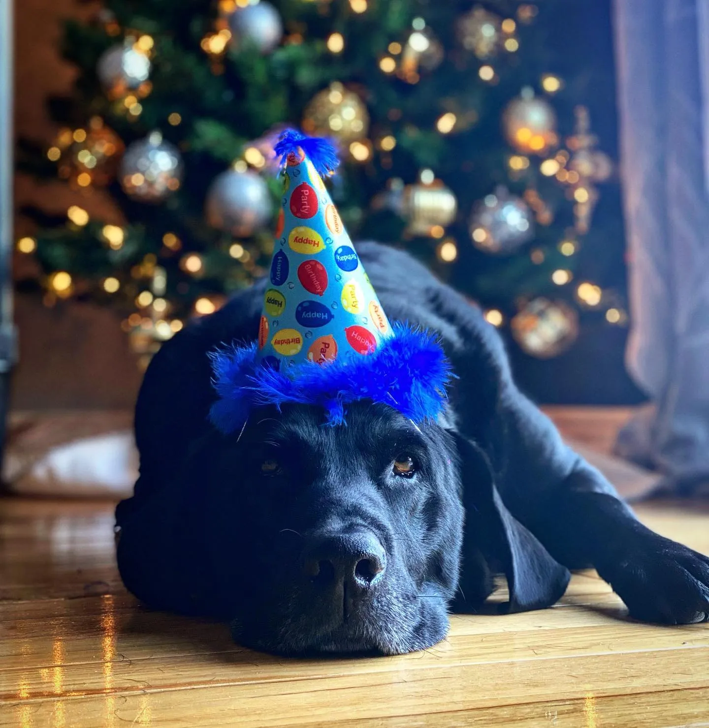 Party Hats with SnugFit®