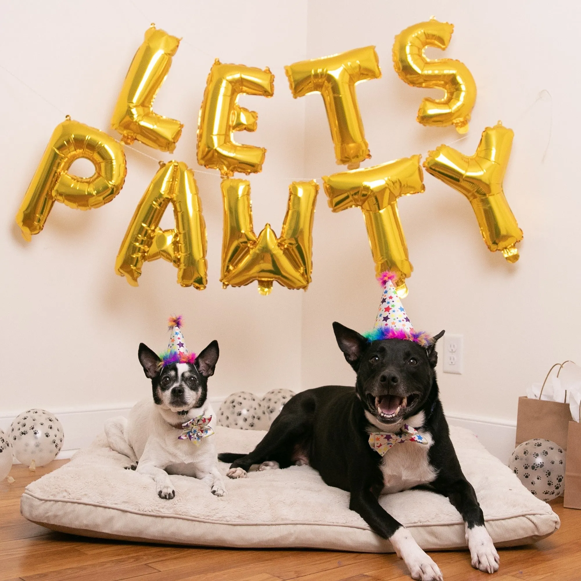 Party Hats with SnugFit®