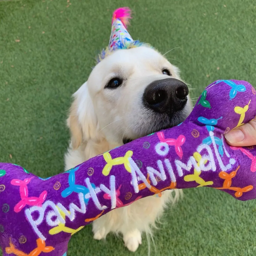 Party Hats with SnugFit®