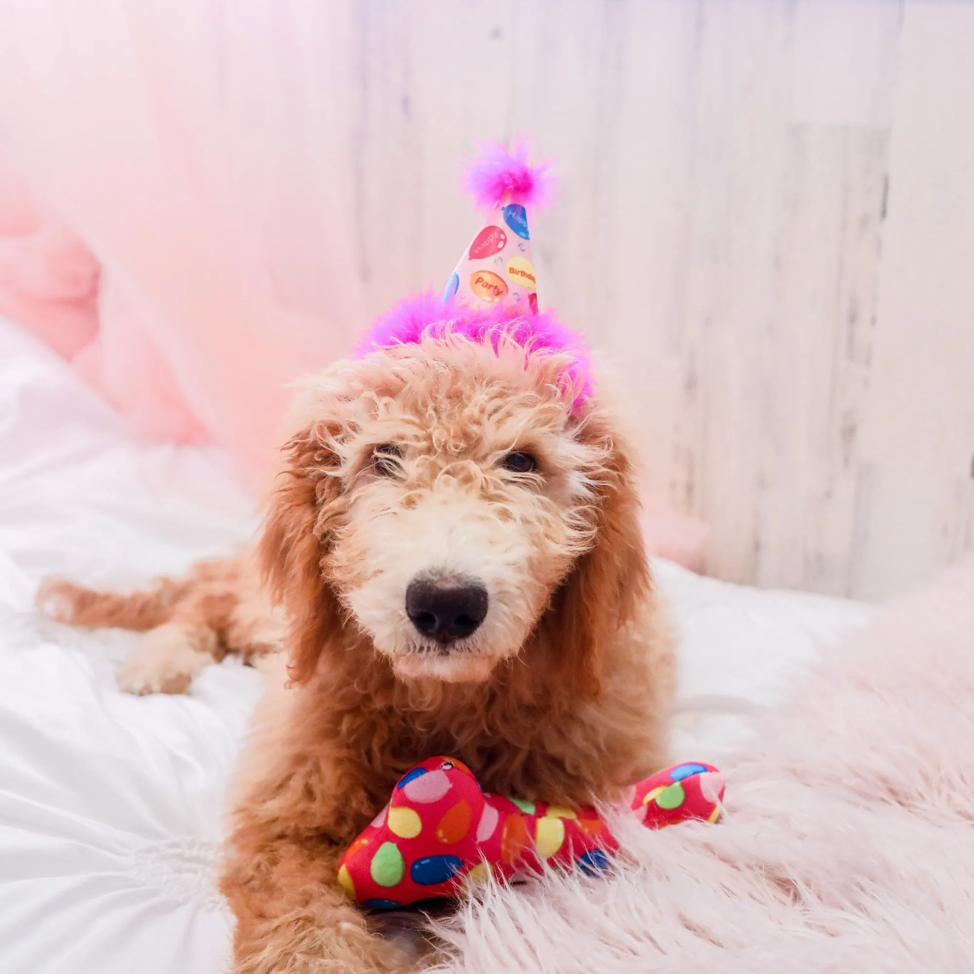 Party Hats with SnugFit®