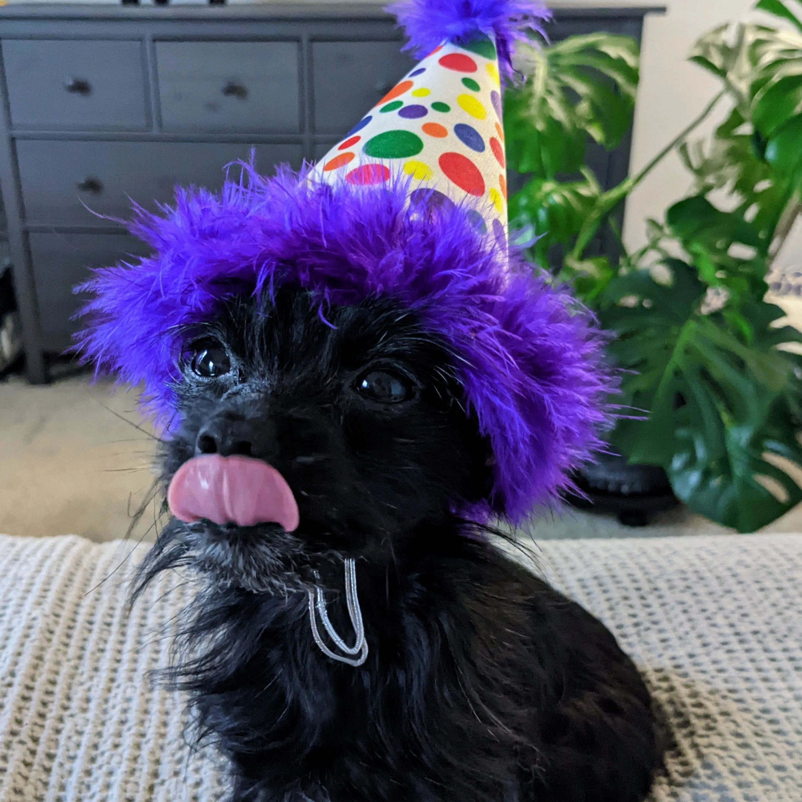 Party Hats with SnugFit®