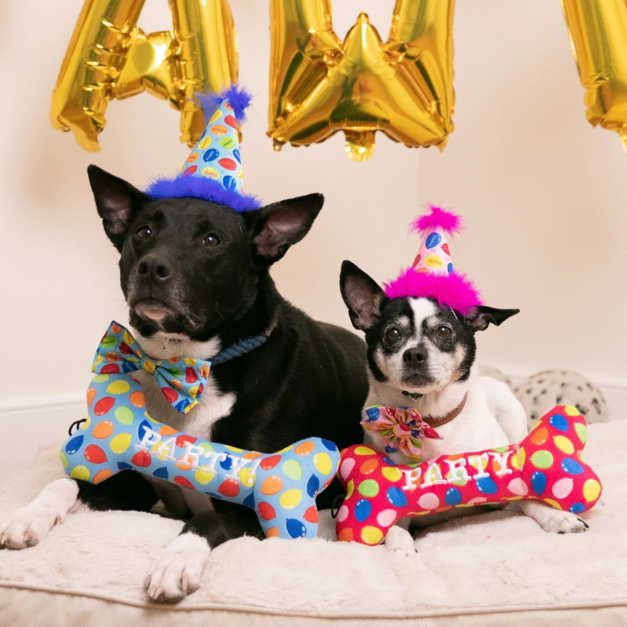 Party Hats with SnugFit®