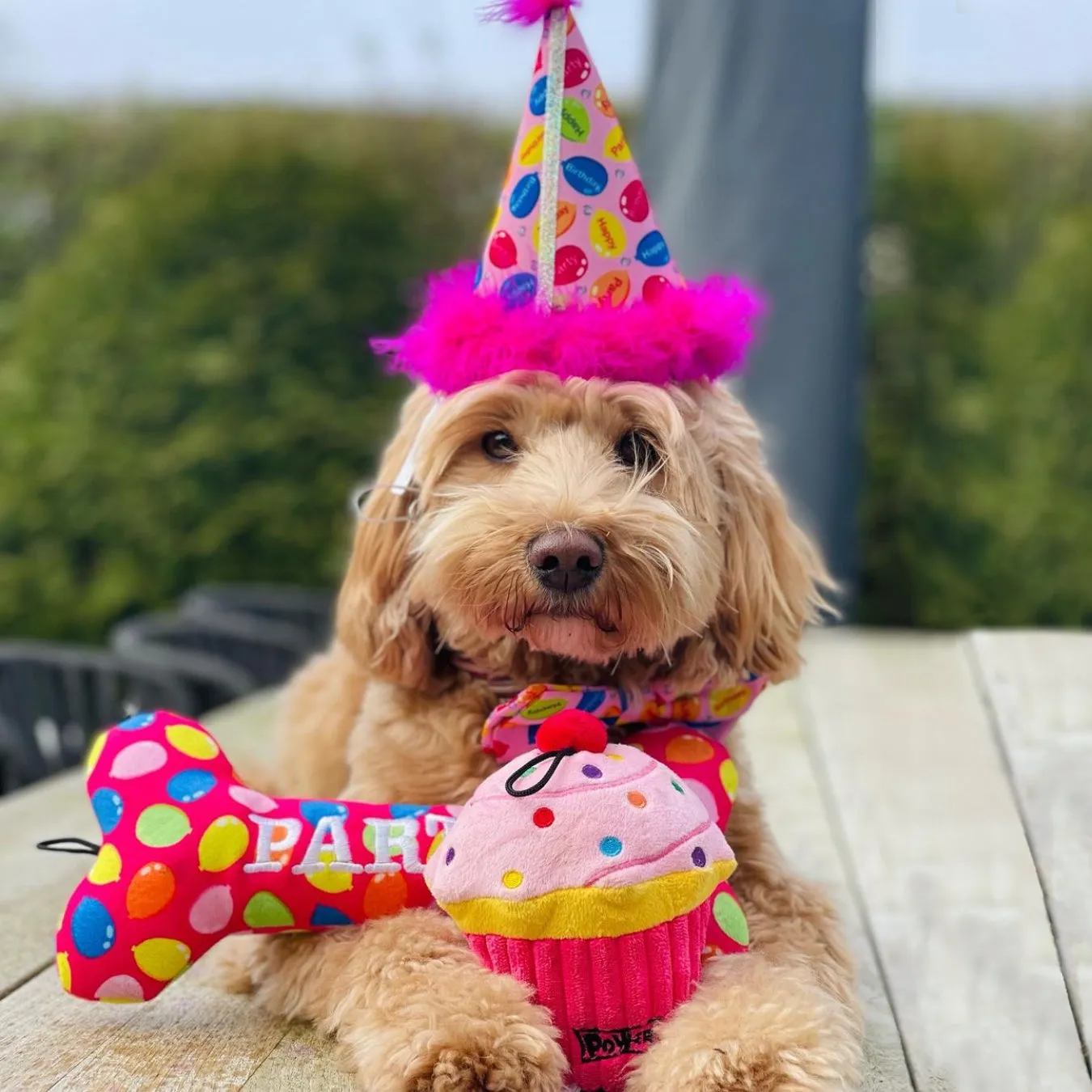 Party Hats with SnugFit®