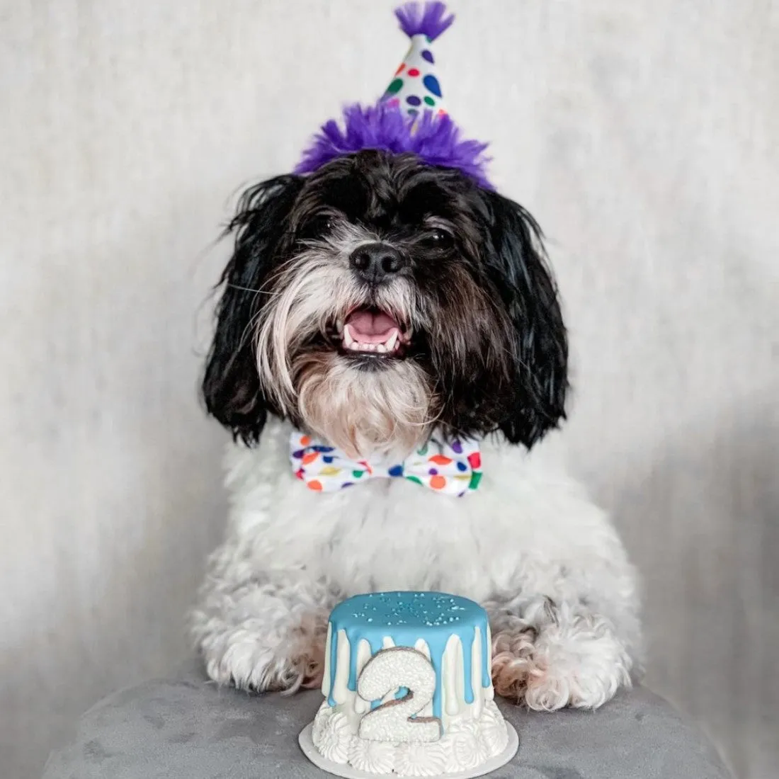 Party Hats with SnugFit®