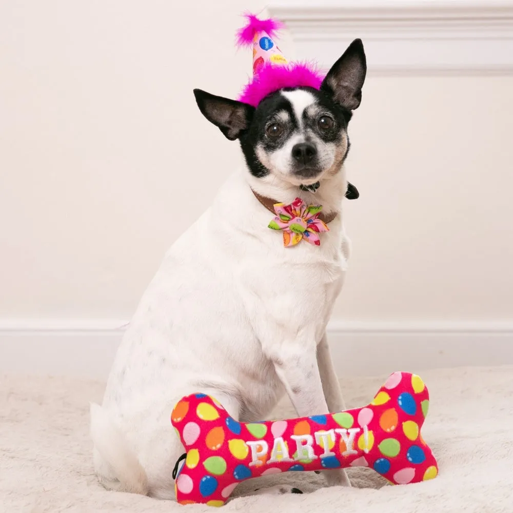 Party Time Pinwheel