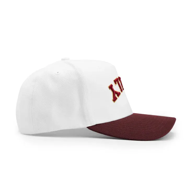 REVERSED Florida State Special Edition Two Tone Casual Snapback Hat - White