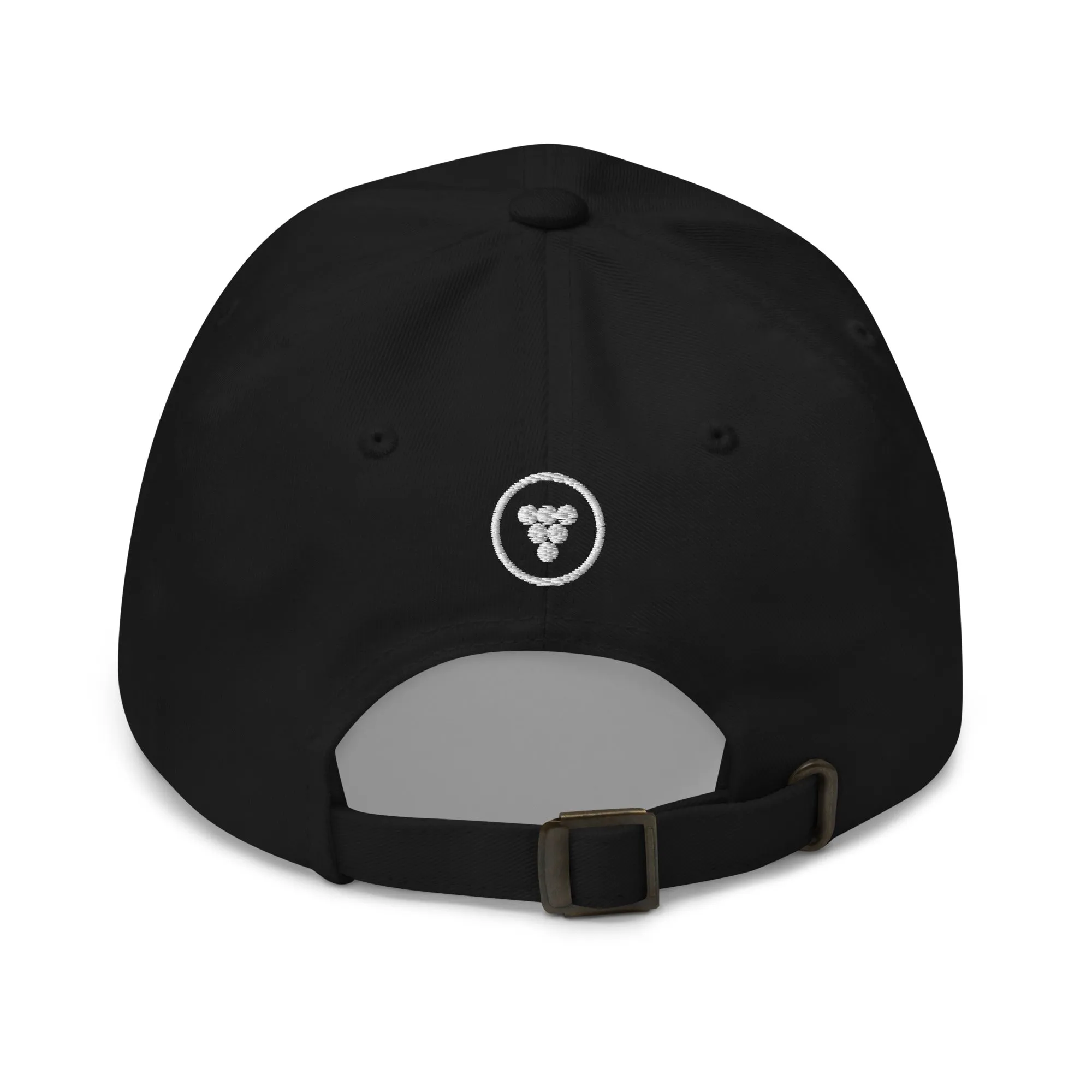 Salty Embroidered Beach Baseball Cap