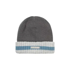 Sealskinz Holkham Waterproof Cold Weather Stripe Roll Cuff Beanie Men