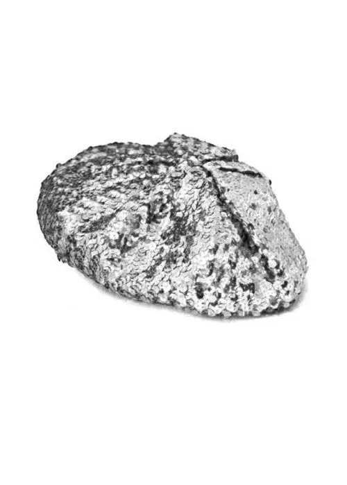 Sequin Beret - Silver