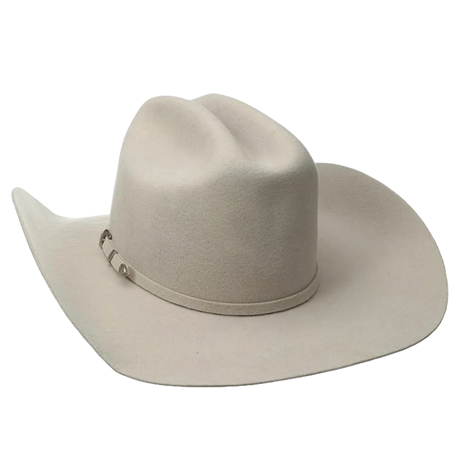 Twister 2X Wool Silver Belly Western Hat T75250277
