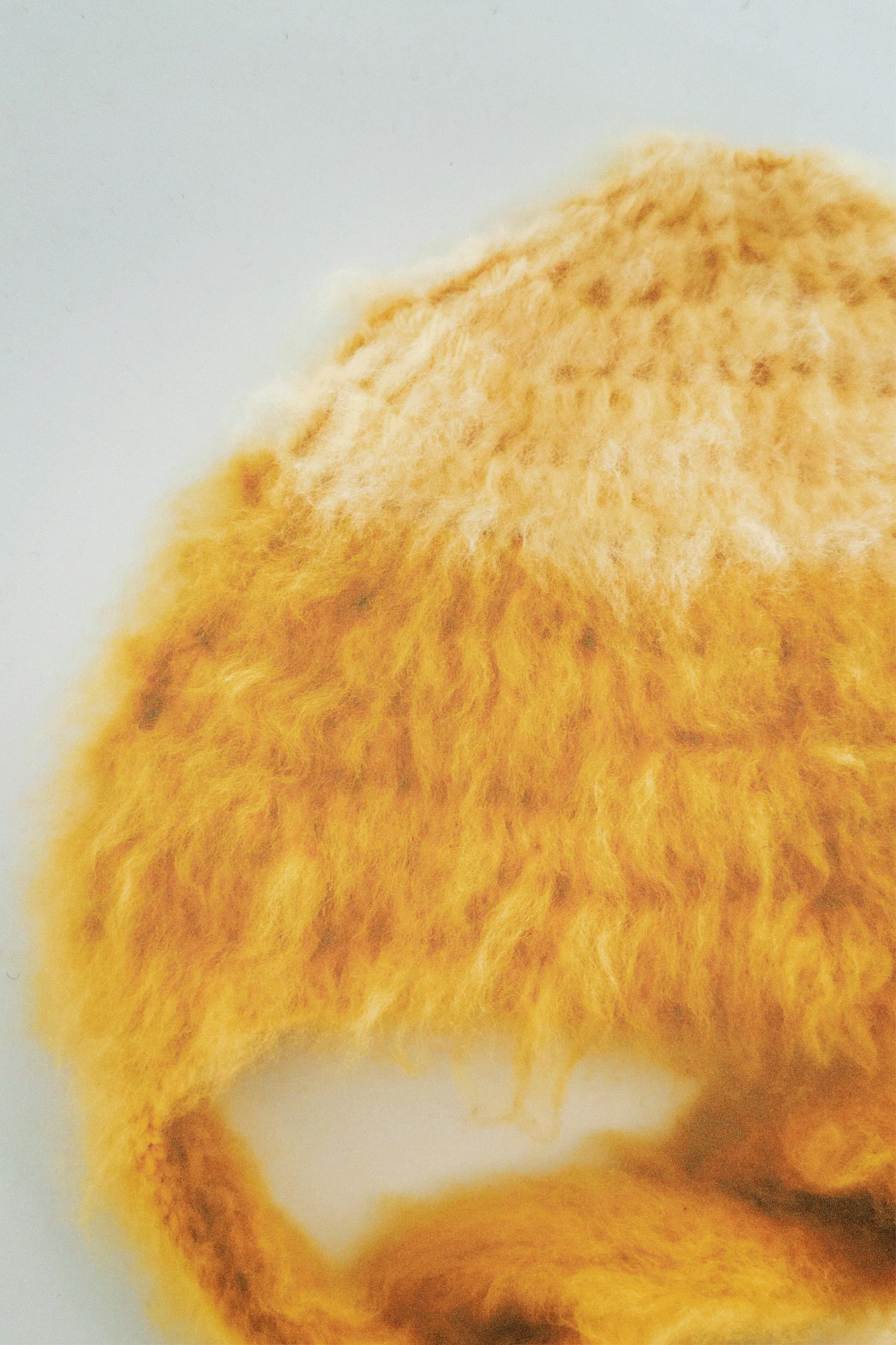Yellow Bonnet