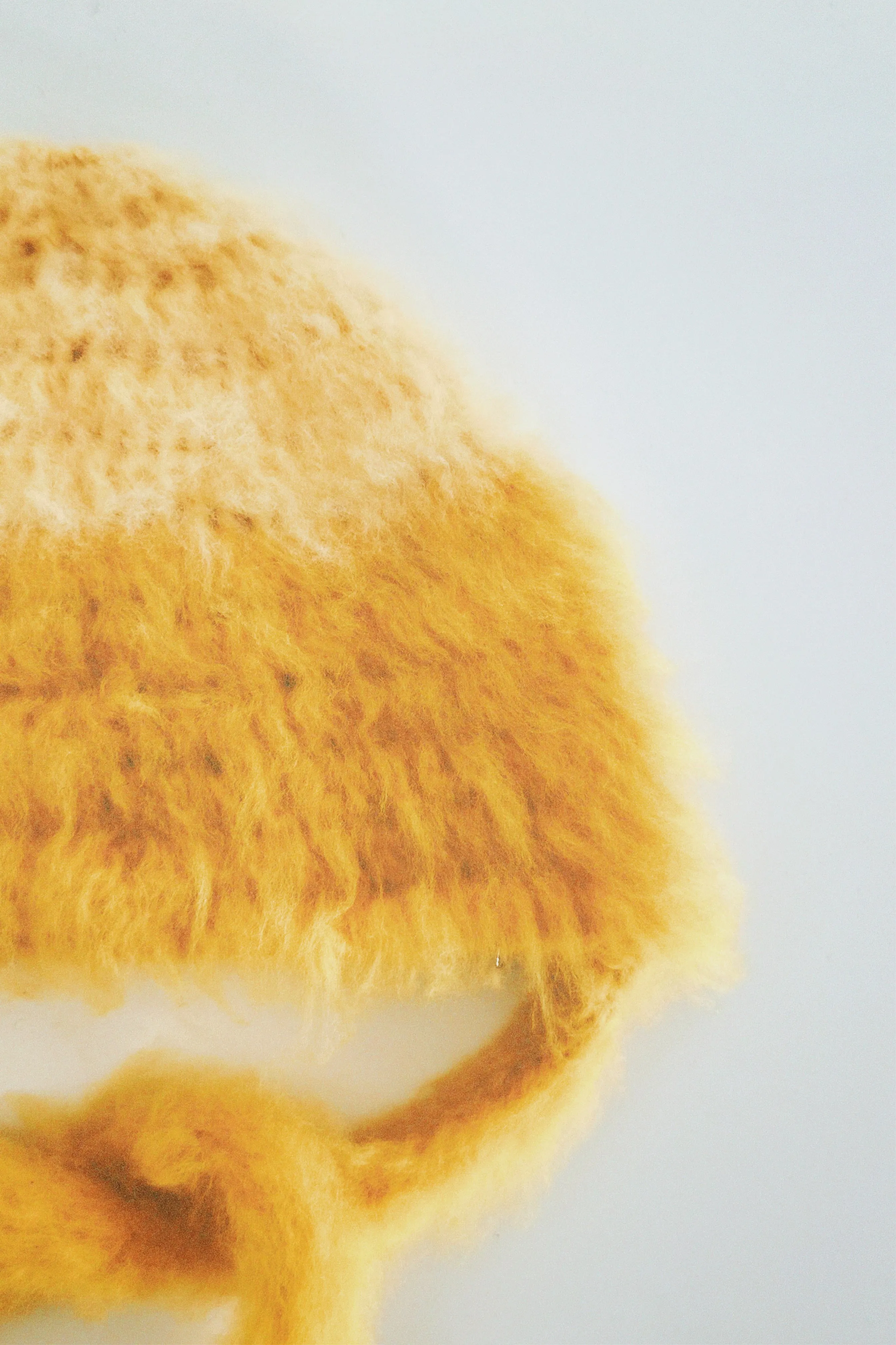 Yellow Bonnet