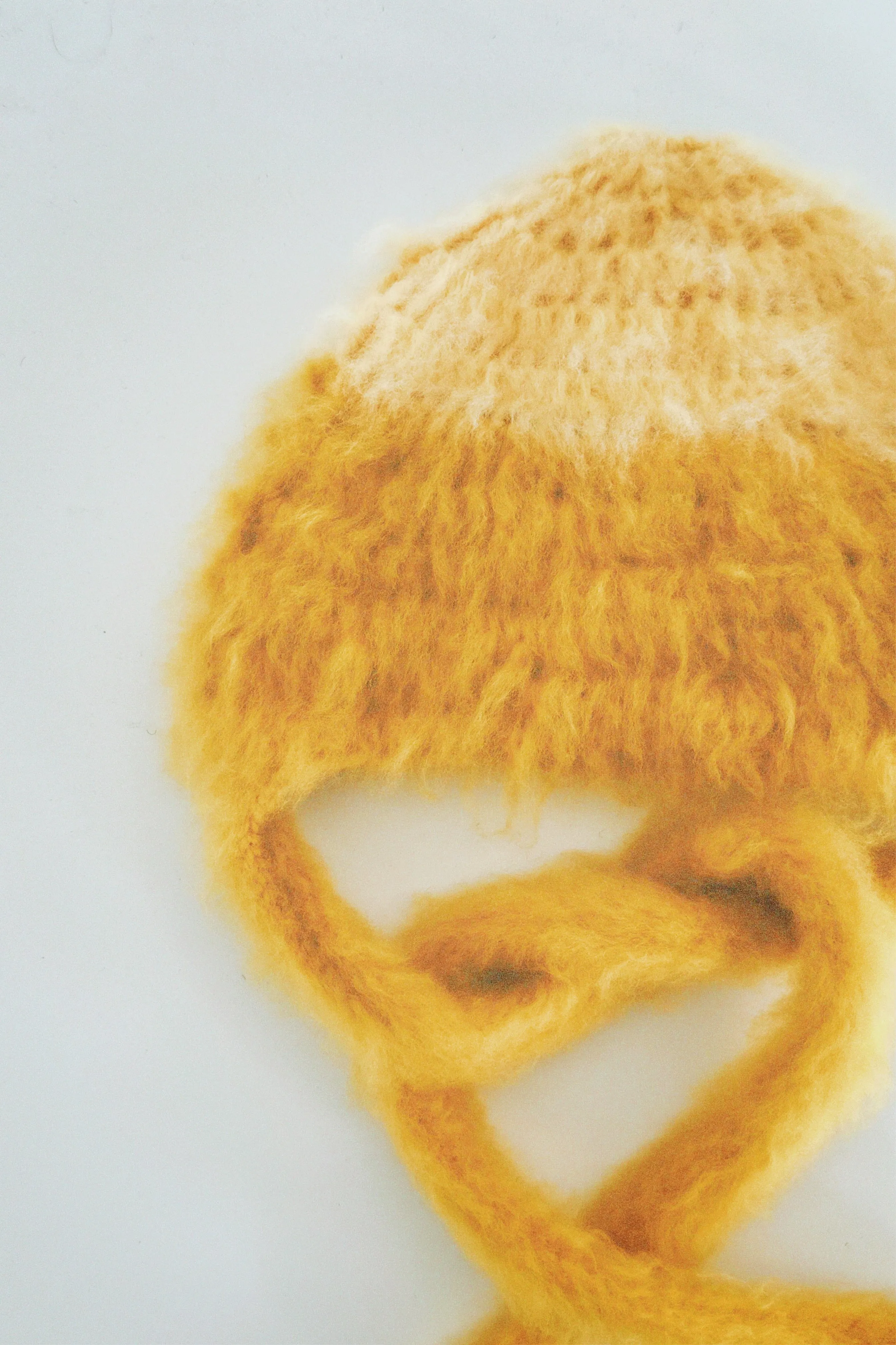 Yellow Bonnet